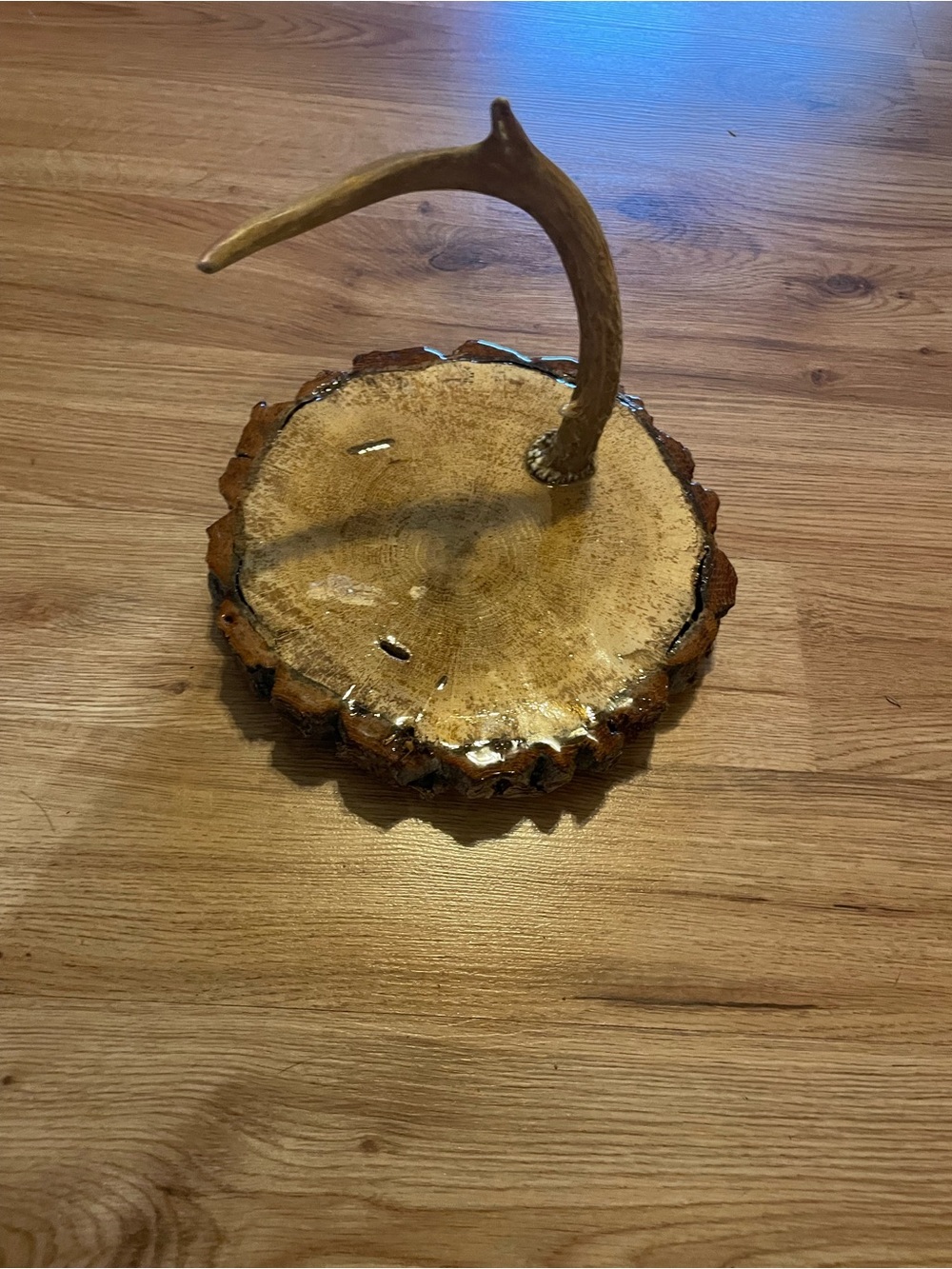 Antler jewelry holder or other things holder country woods made of wood hunting